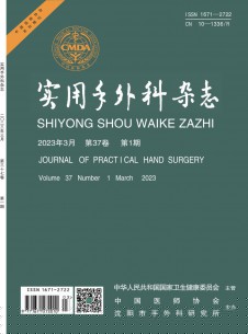 点击查看实用手外科