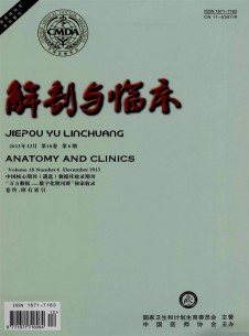 点击查看解剖与临床