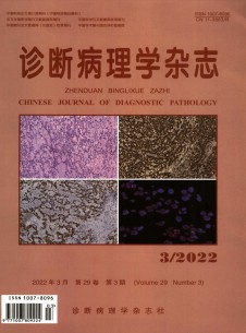 点击查看诊断病理学